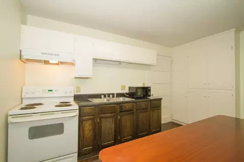 117 E James St, Greer, SC 29651 photo 18