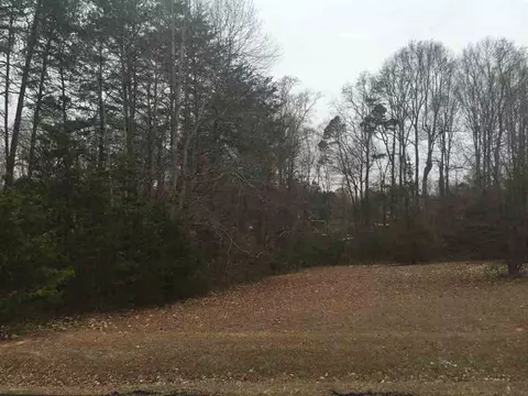 202 Alethia St, Easley, SC 29642 photo 4
