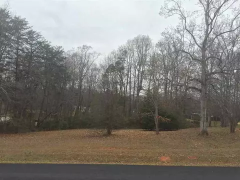 202 Alethia St, Easley, SC 29642 photo 5