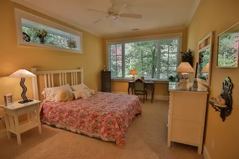 209 Pitcher Plant Ln #CLIFFS VINEYARDS E21, Sunset, SC 29685 photo 23