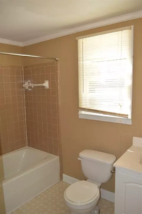 215 Charleston Ave, Clemson, SC 29631 photo 20
