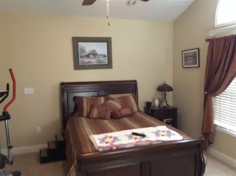 110 Red Maple Way, Clemson, SC 29631 photo 16