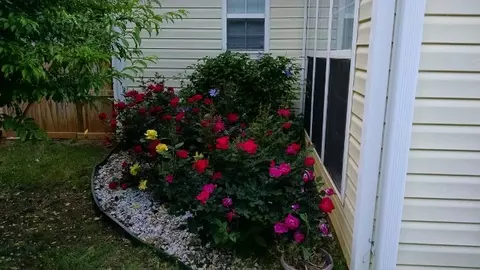 109 Fledgling Way, Easley, SC 29642 photo 23