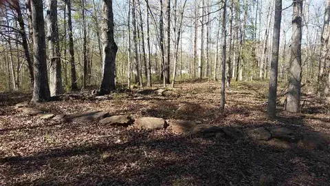 223 Pineview Dr, Pelzer, SC 29669 photo 4