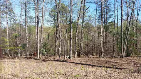 223 Pineview Dr, Pelzer, SC 29669 photo 2