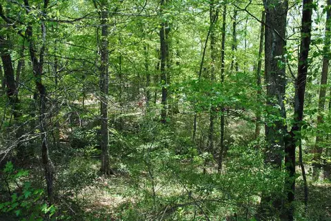 120 Grand Oak Cir, Pendleton, SC 29670 photo 27