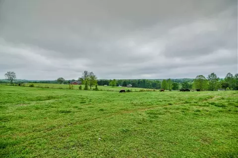 1000 Campbell Rd, Pelzer, SC 29669 photo 32