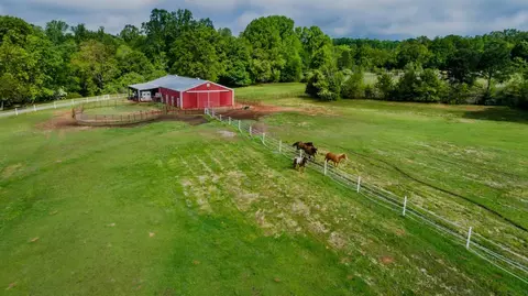 550 E Church Rd, Easley, SC 29642 photo 1