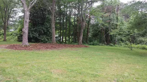 113 Nora Ave, Easley, SC 29640 photo 6