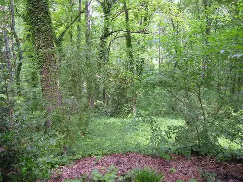 104 E Lewis Rd, Clemson, SC 29631 photo 28