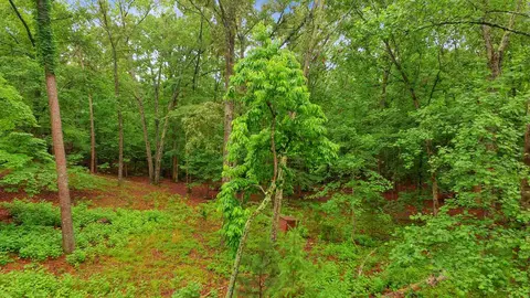 115 Murphy Rd, Sunset, SC 29685 photo 6