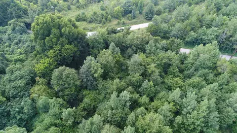 190 Leonard Rd, Duncan, SC 29334 photo 8