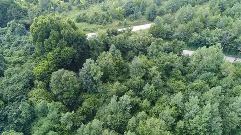 190 Leonard Rd, Duncan, SC 29334 photo 9