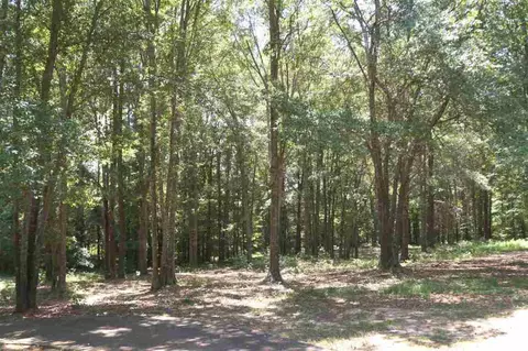 230 Armstrong Rd, Honea Path, SC 29654 photo 22