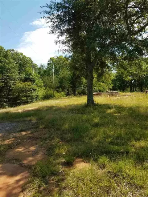 844 Old Cedar Rock Rd, Easley, SC 29640 photo 5