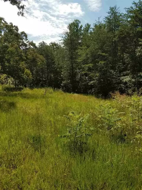 844 Old Cedar Rock Rd, Easley, SC 29640 photo 6