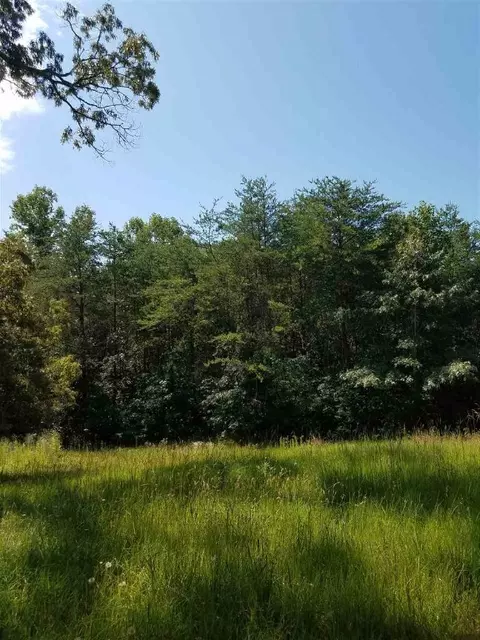 844 Old Cedar Rock Rd, Easley, SC 29640 photo 7