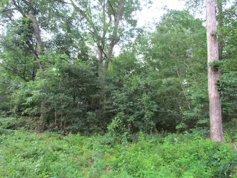 306 Douglas Dr, Seneca, SC 29678 photo 5