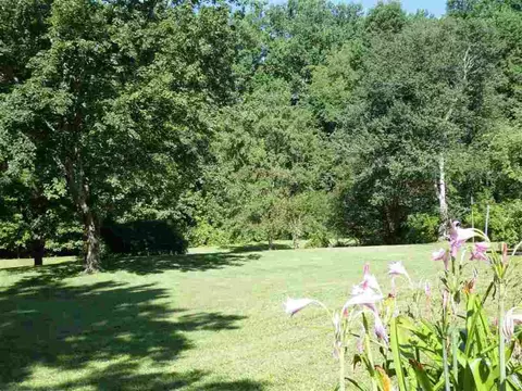 350 Beechnut Ln, Walhalla, SC 29691 photo 31