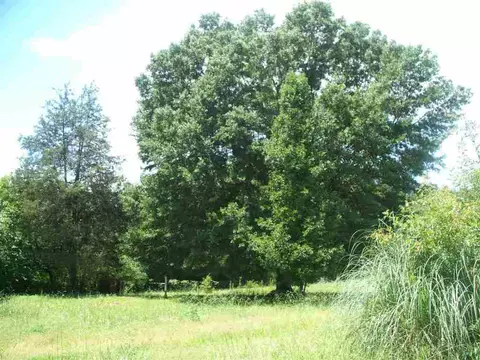 143 Miller Rd, Easley, SC 29640 photo 9
