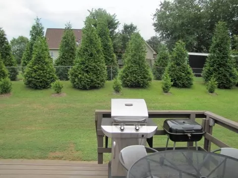 105 Harvard Ln, Easley, SC 29640 photo 22