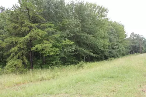 30 Possum Holler, Honea Path, SC 29654 photo 17