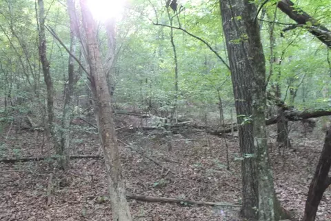 30 Possum Holler, Honea Path, SC 29654 photo 27