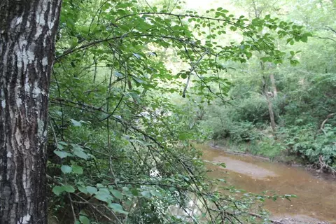 30 Possum Holler, Honea Path, SC 29654 photo 24