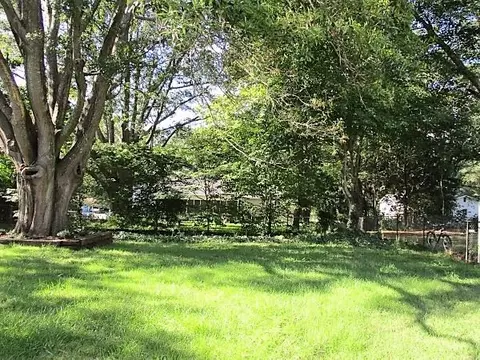 106 Augusta St, Easley, SC 29640 photo 20