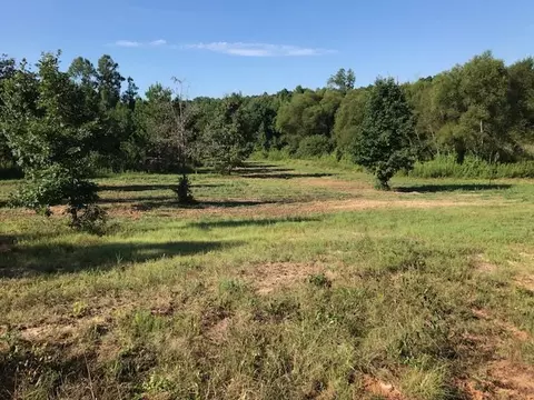 00 Hwy 25 S #10580 AUGUSTA RD, Belton, SC 29697 photo 7