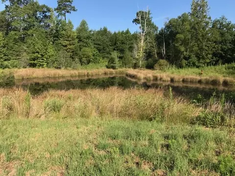 00 Hwy 25 S #10580 AUGUSTA RD, Belton, SC 29697 photo 3