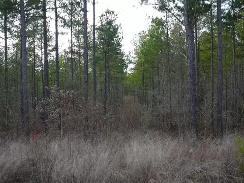 7 Southview Dr, Anderson, SC 29621 photo 3