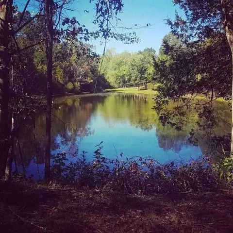 333 Store Rd, Easley, SC 29640 photo 1
