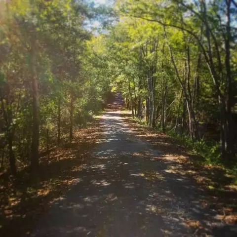 333 Store Rd, Easley, SC 29640 photo 3