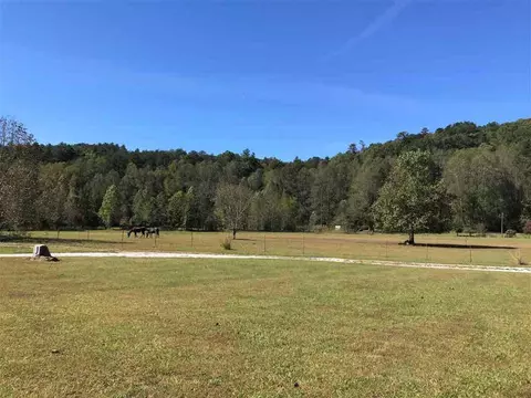 105 Boulderbluff Holw, Sunset, SC 29685 photo 32