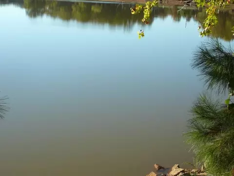 102 Willowbend Dr, Anderson, SC 29621 photo 2