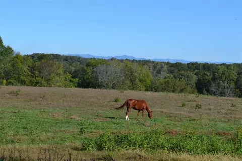 161 Ford Rd, Central, SC 29630 photo 4