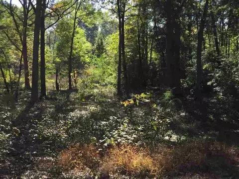 117 Brookview Cir, Pelzer, SC 29669 photo 26