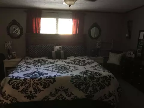 117 Brookview Cir, Pelzer, SC 29669 photo 12