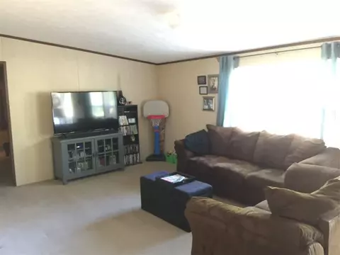 117 Brookview Cir, Pelzer, SC 29669 photo 7