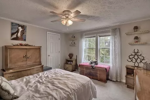 251 E Preston Mcdaniel Rd, Pickens, SC 29671 photo 15