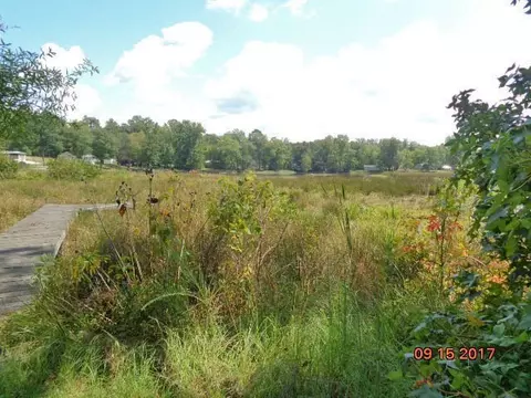 112 Squirrel Dr, Waterloo, SC 29384 photo 4
