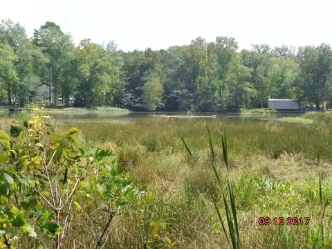 112 Squirrel Dr, Waterloo, SC 29384 photo 5