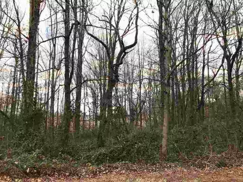 104 Rolling Green Dr, Easley, SC 29640 photo 3