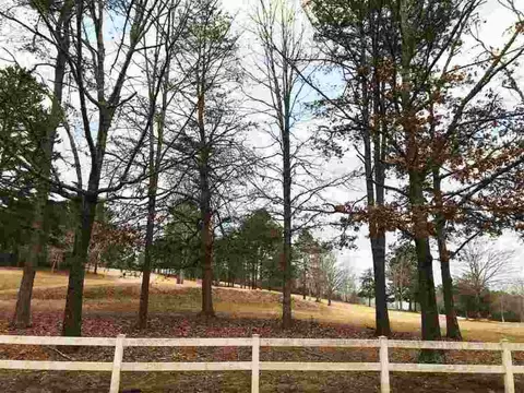 104 Rolling Green Dr, Easley, SC 29640 photo 11