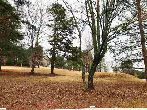 104 Rolling Green Dr, Easley, SC 29640 photo 12