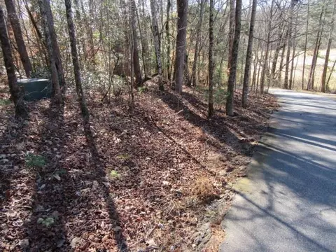 111 Broken Bow Run, Pickens, SC 29671 photo 1