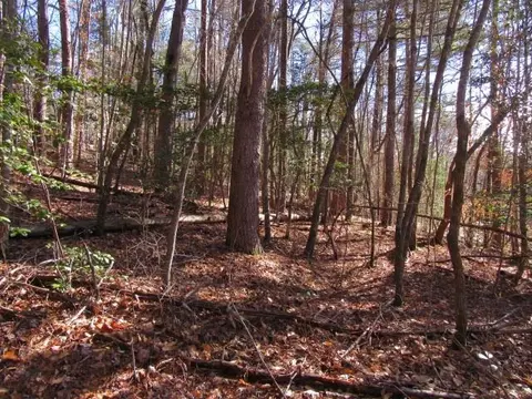 111 Broken Bow Run, Pickens, SC 29671 photo 7