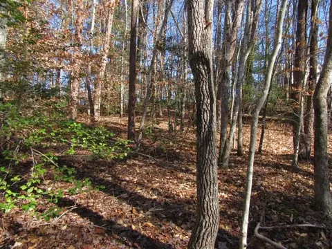 111 Broken Bow Run, Pickens, SC 29671 photo 11