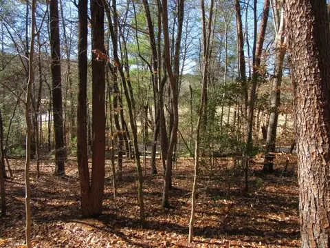 111 Broken Bow Run, Pickens, SC 29671 photo 8